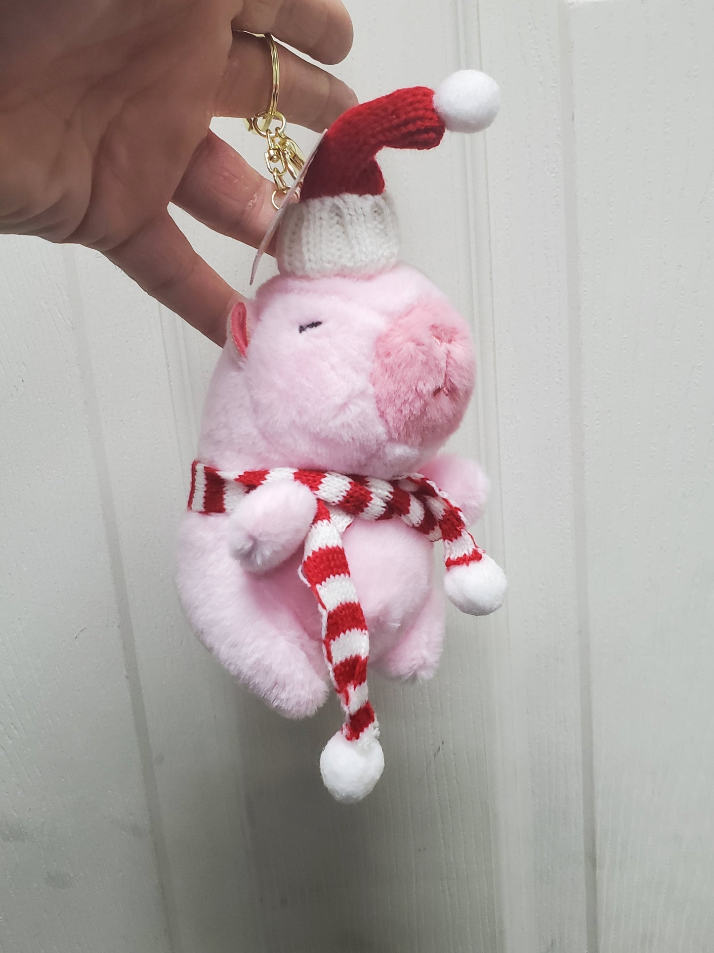Capybara Stuffed Animals w/keychain
