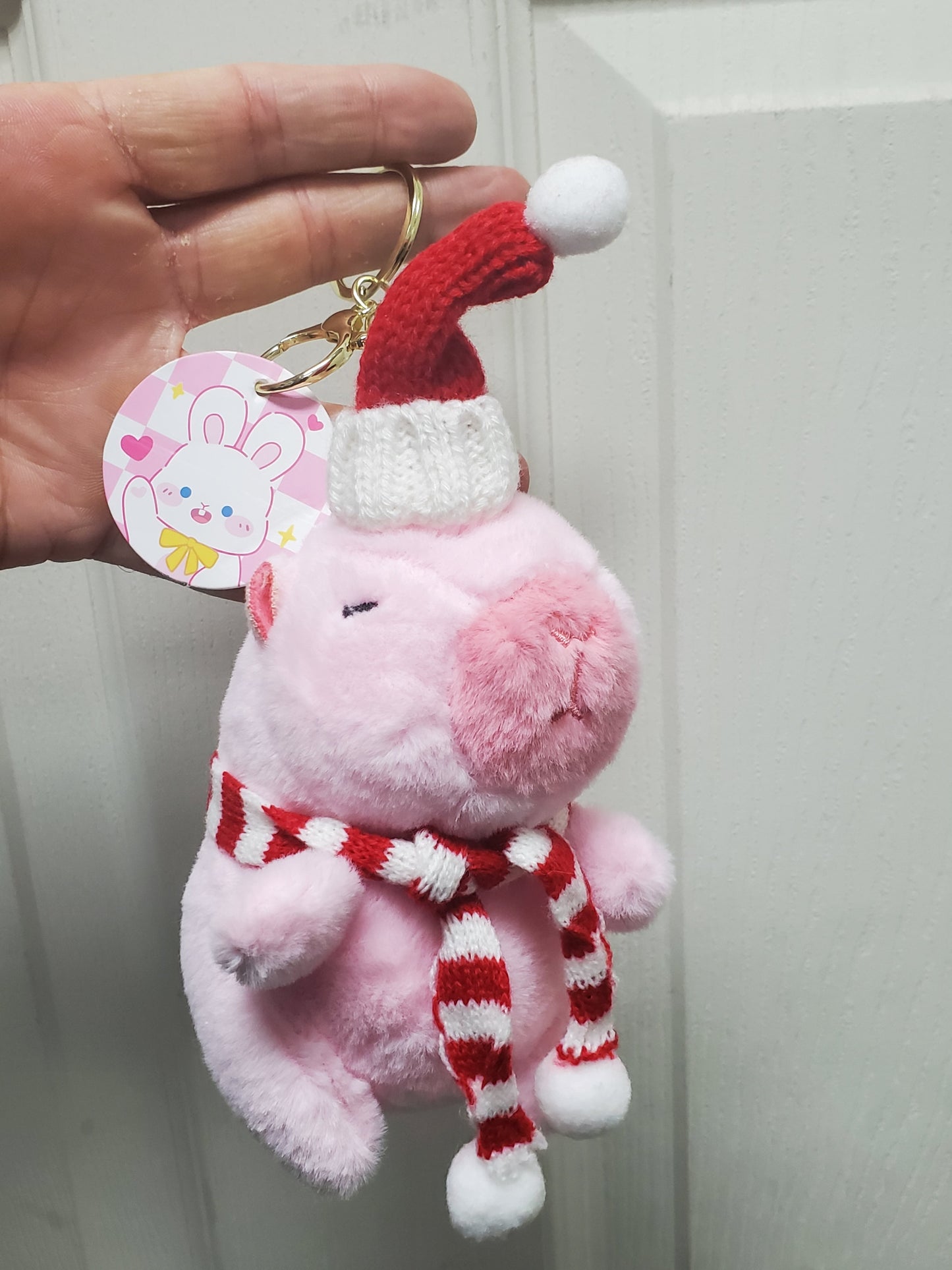 Capybara Stuffed Animals w/keychain