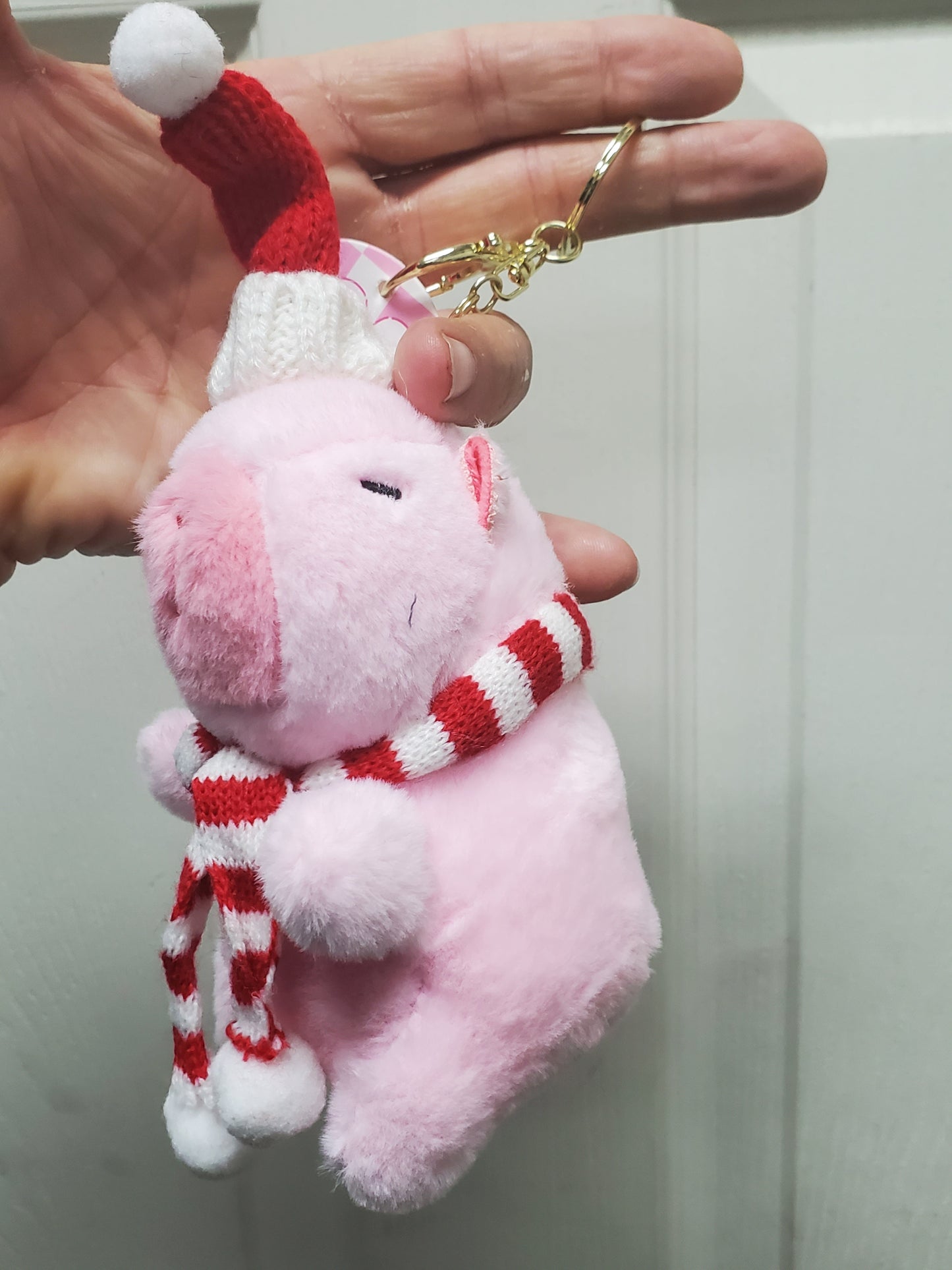 Capybara Stuffed Animals w/keychain