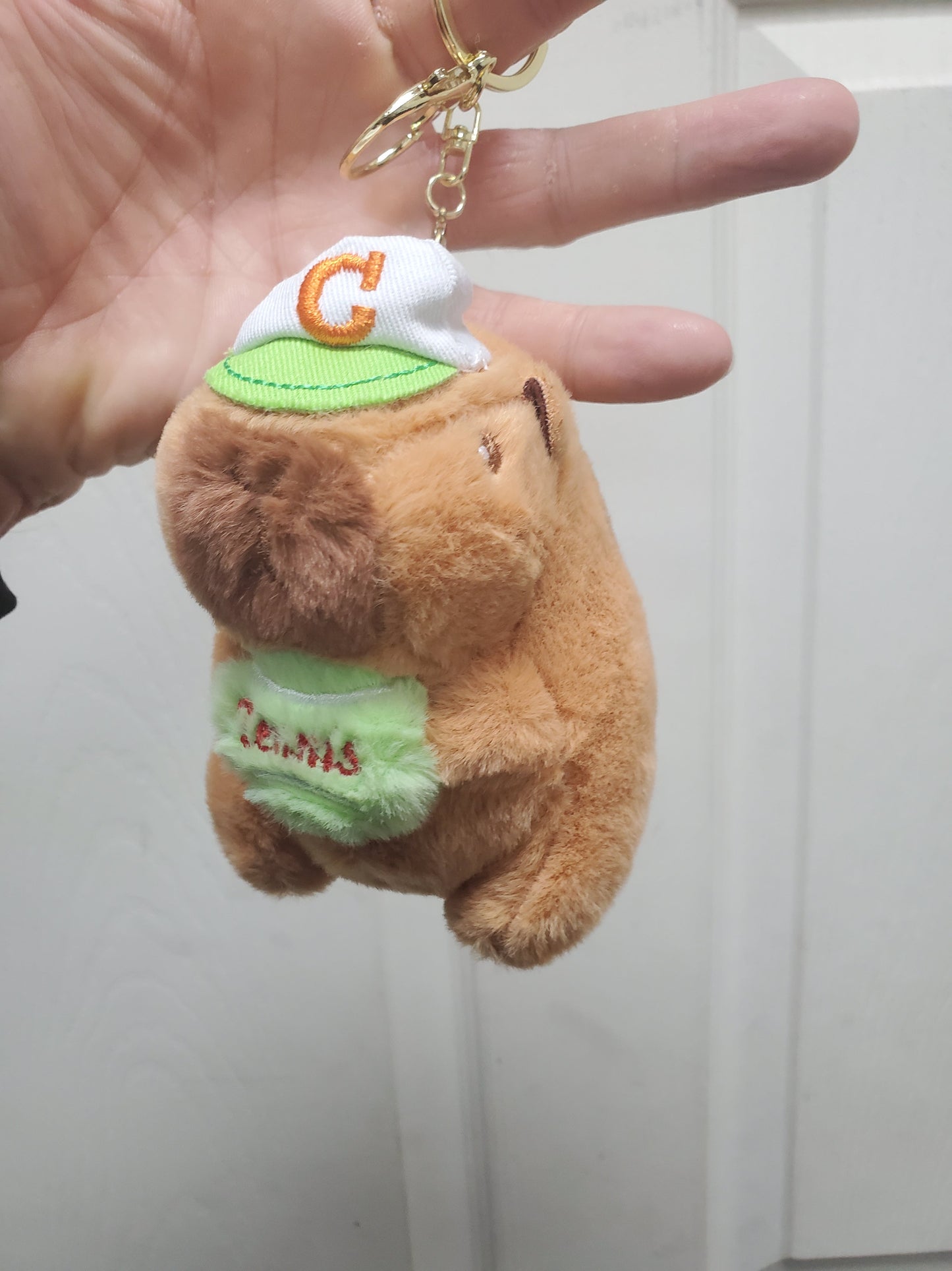 Capybara Stuffed Animals w/keychain