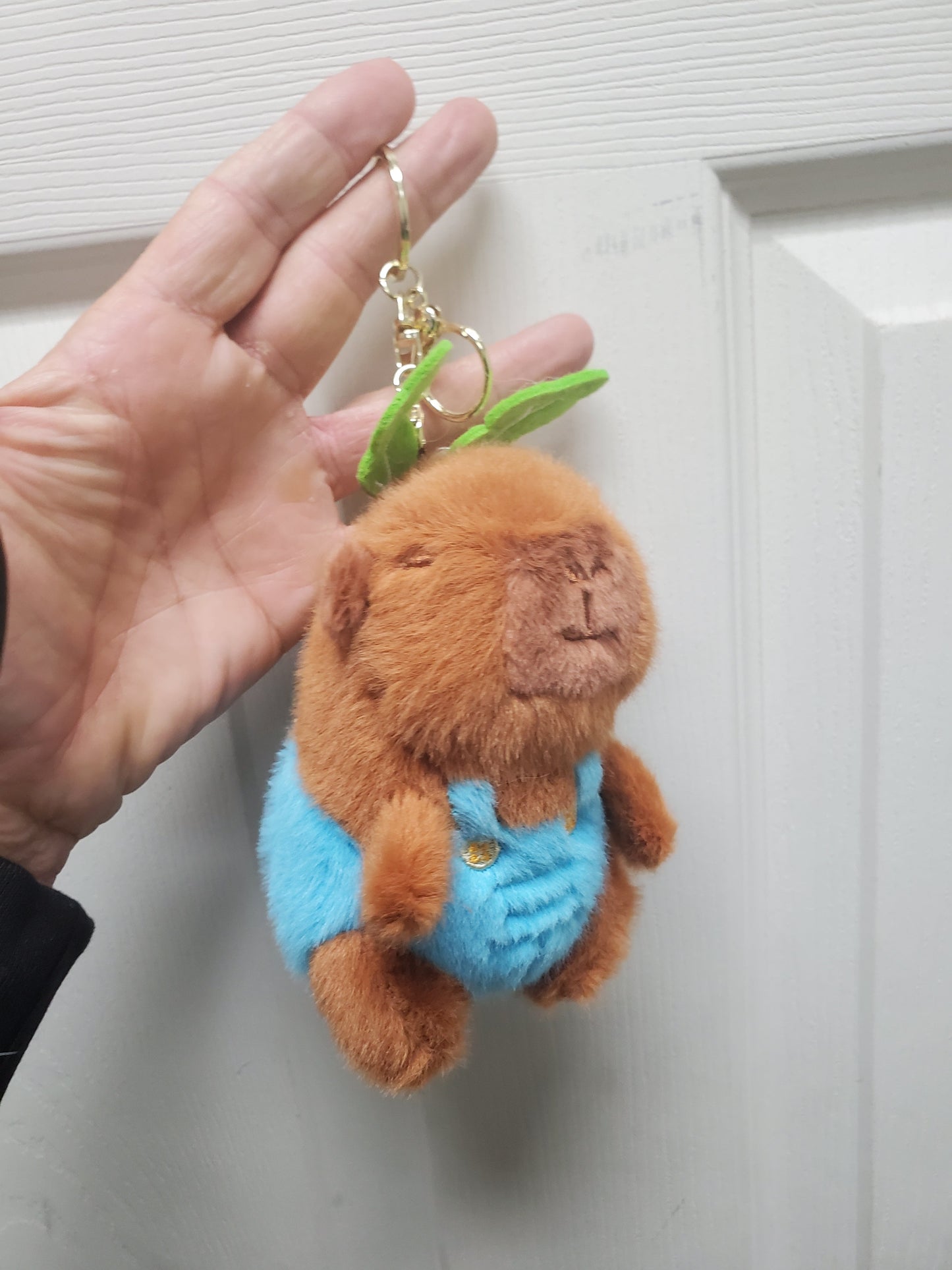 Capybara Stuffed Animals w/keychain