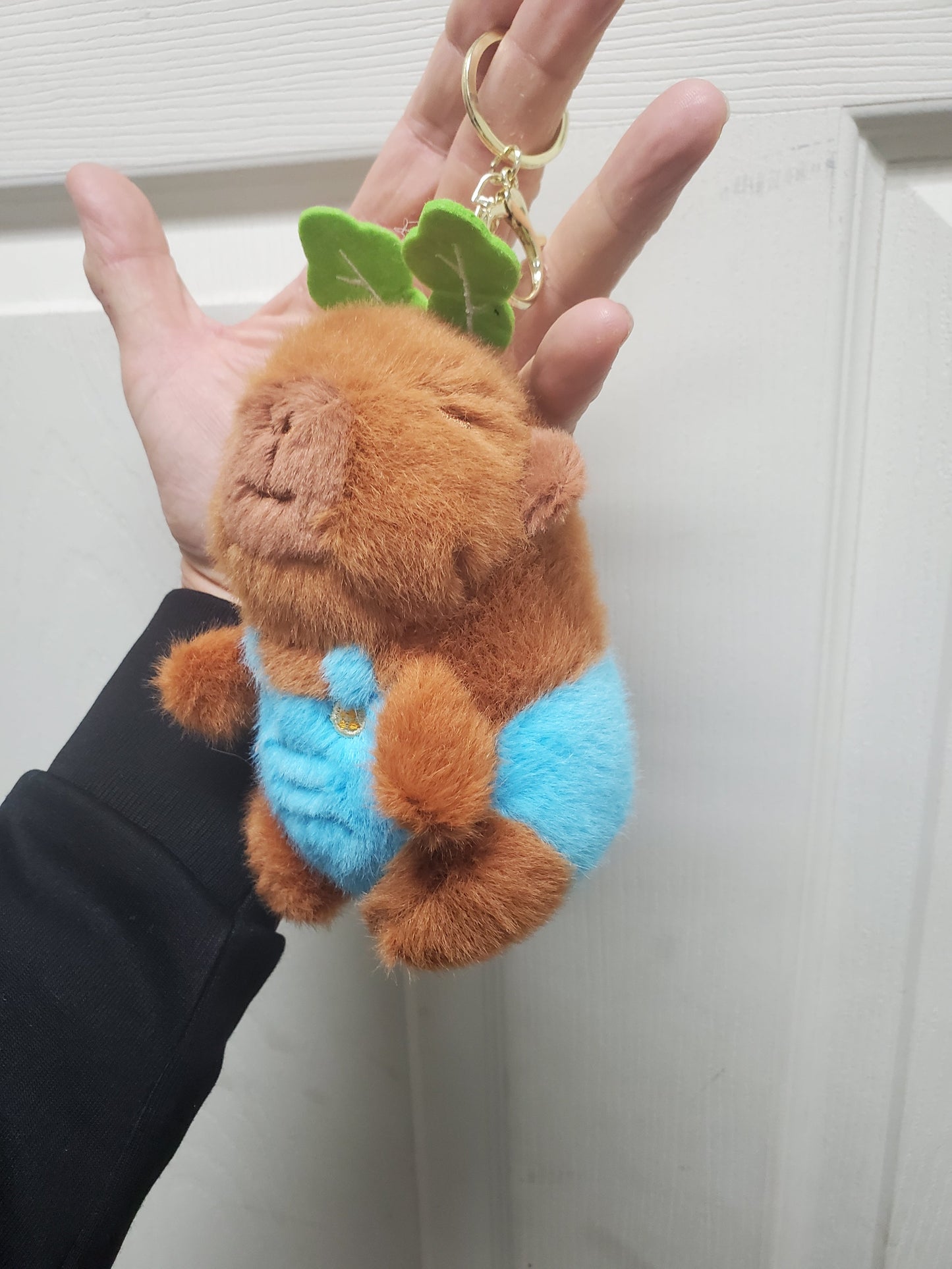 Capybara Stuffed Animals w/keychain