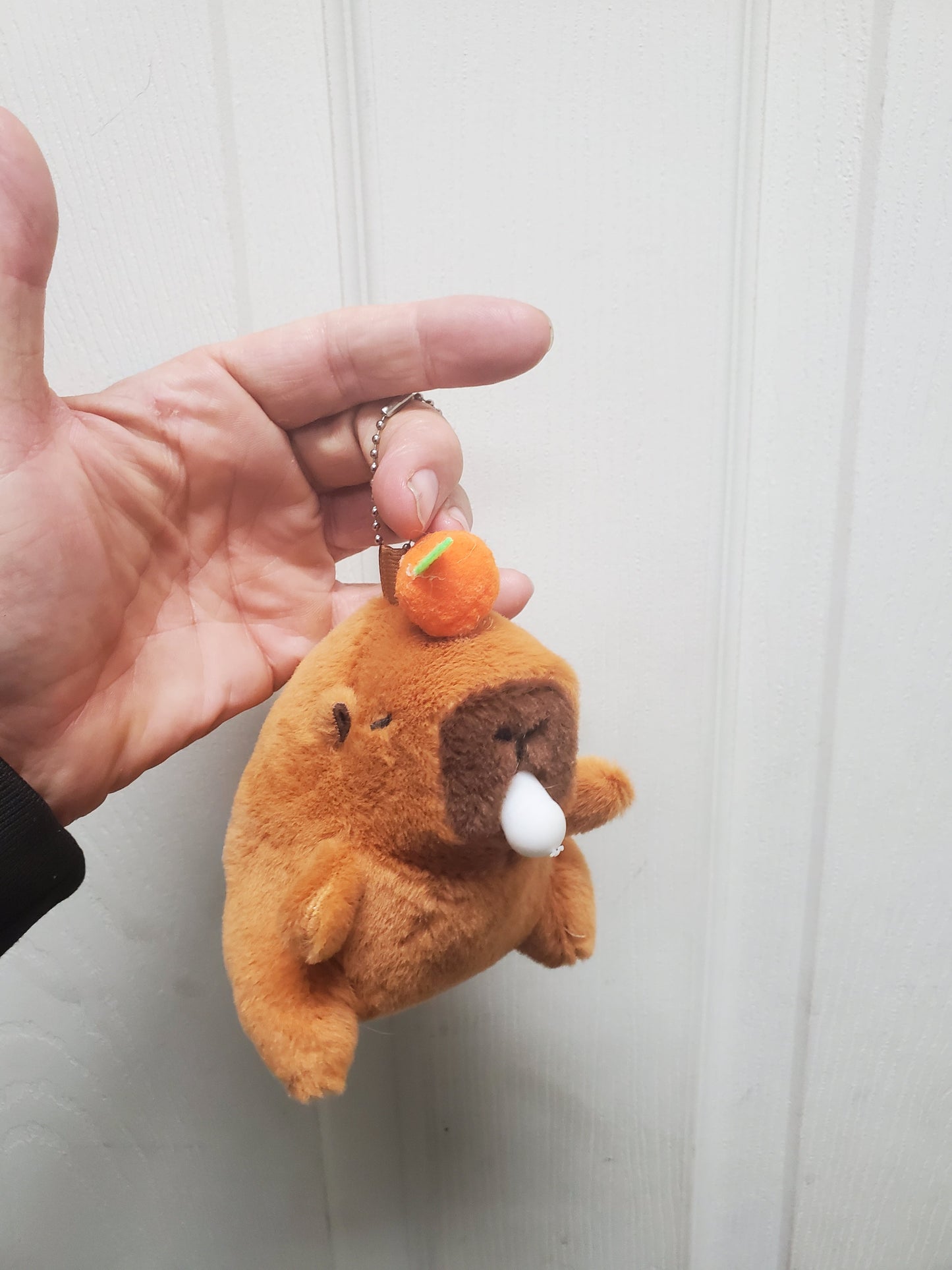 Capybara Stuffed Animals w/keychain