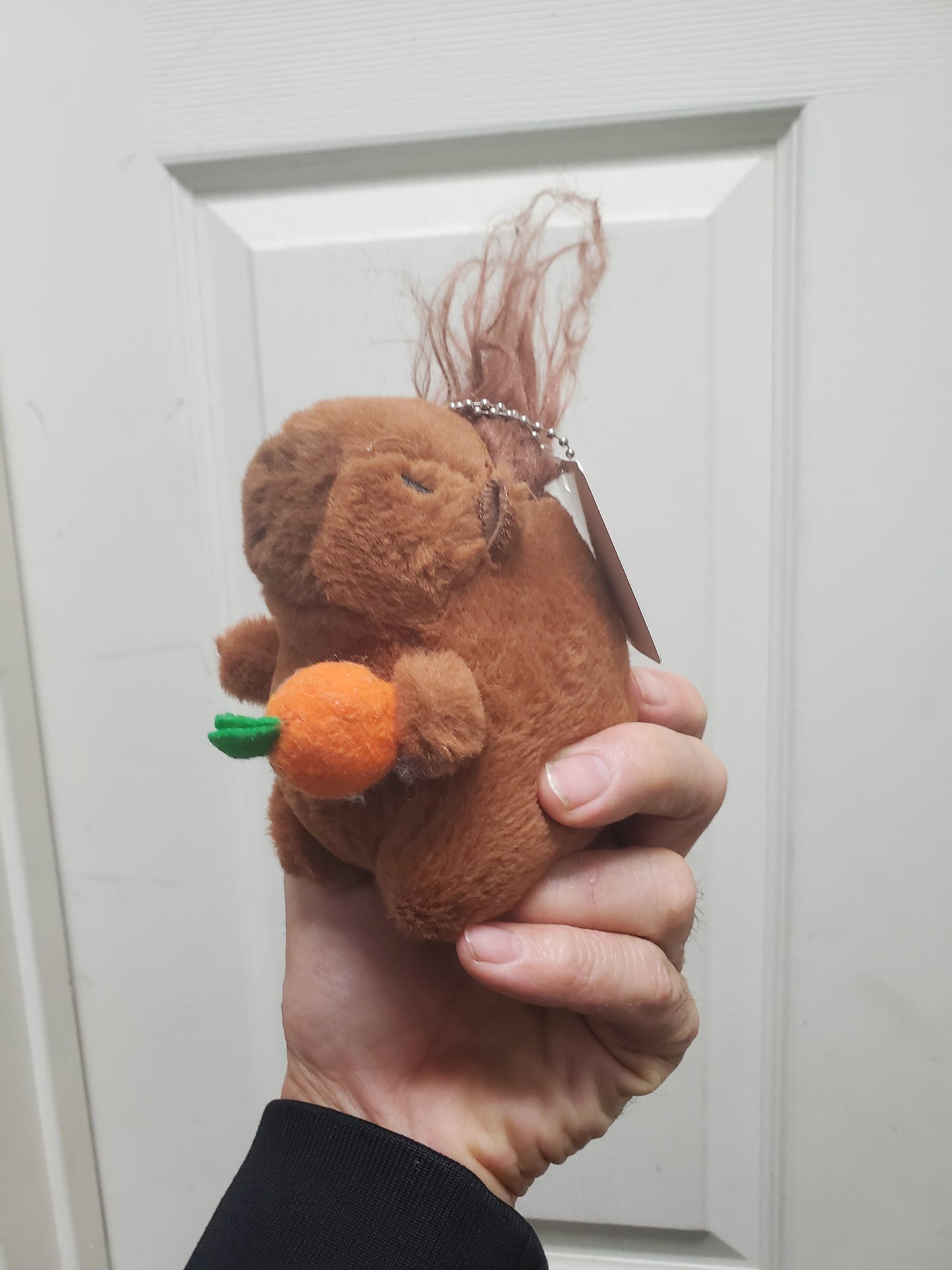 Capybara Stuffed Animals w/keychain