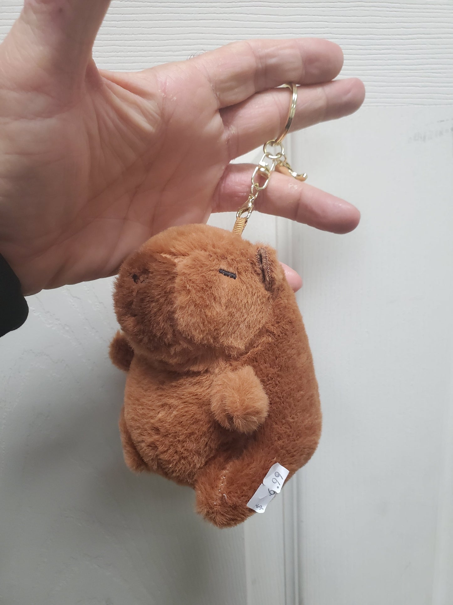 Capybara Stuffed Animals w/keychain