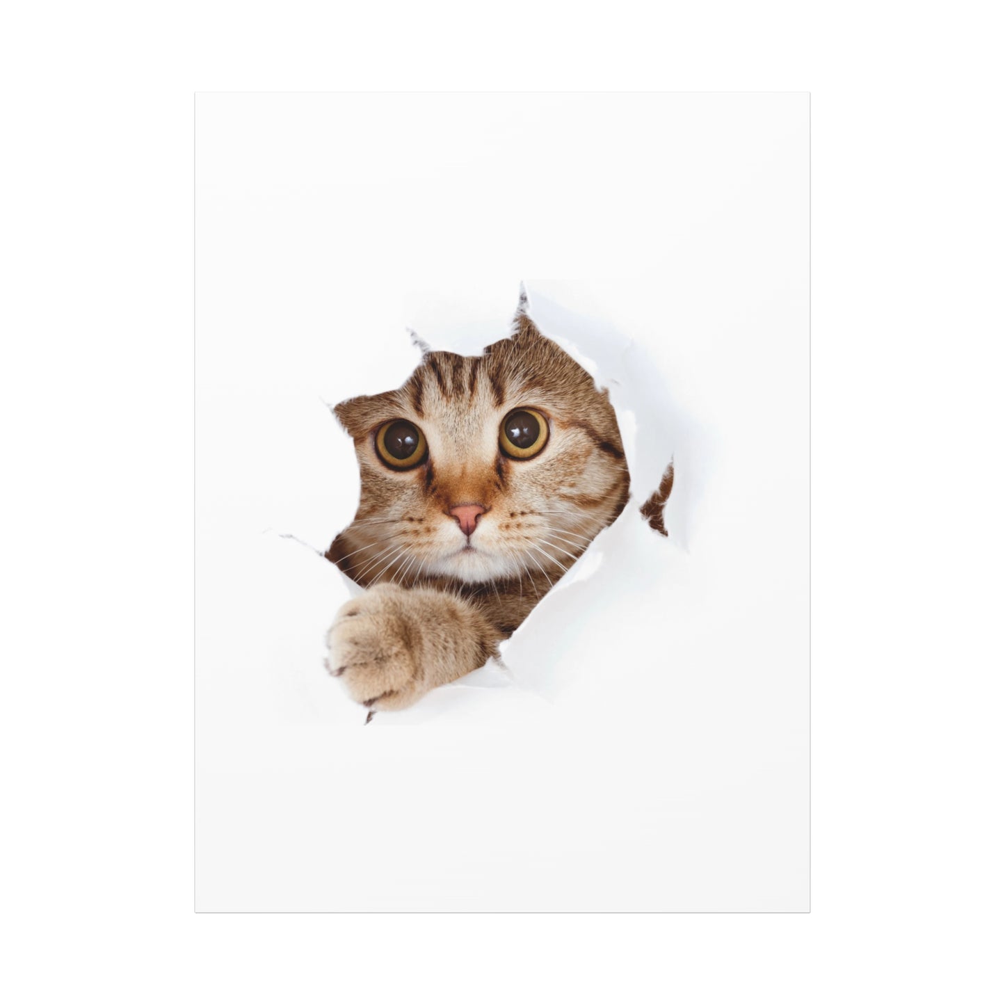 Whimsical Cat Canvas Art, Playful Decor for Cat Lovers, Home Wall Art, Pet-Themed Gift, Cute Cat Wall Art, Cat Lover's Decoration