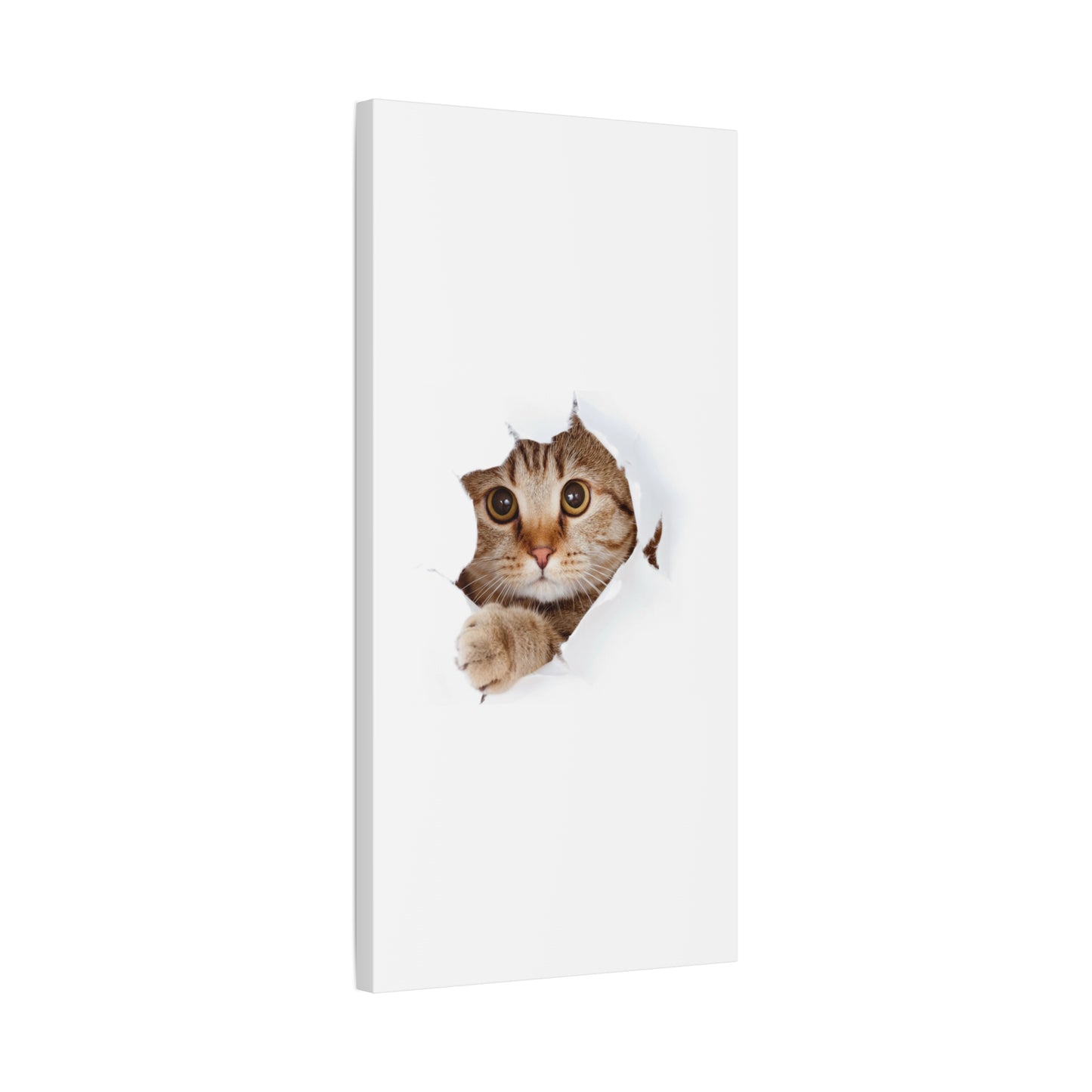 Whimsical Cat Canvas Art, Playful Decor for Cat Lovers, Home Wall Art, Pet-Themed Gift, Cute Cat Wall Art, Cat Lover's Decoration