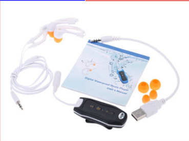 MP3 Music Player