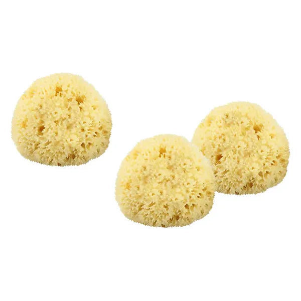 The Sponge Company - Sea-Silk Cosmetic Sponge #1 (3PC-Set) [101-03]