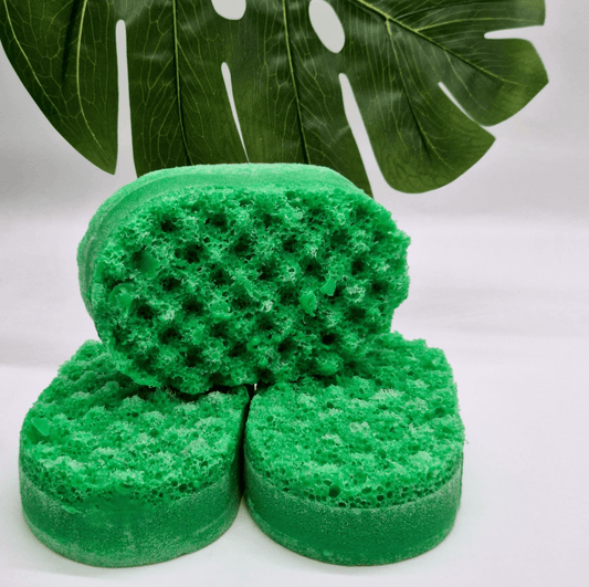 Watermelon Soap Sponge-0