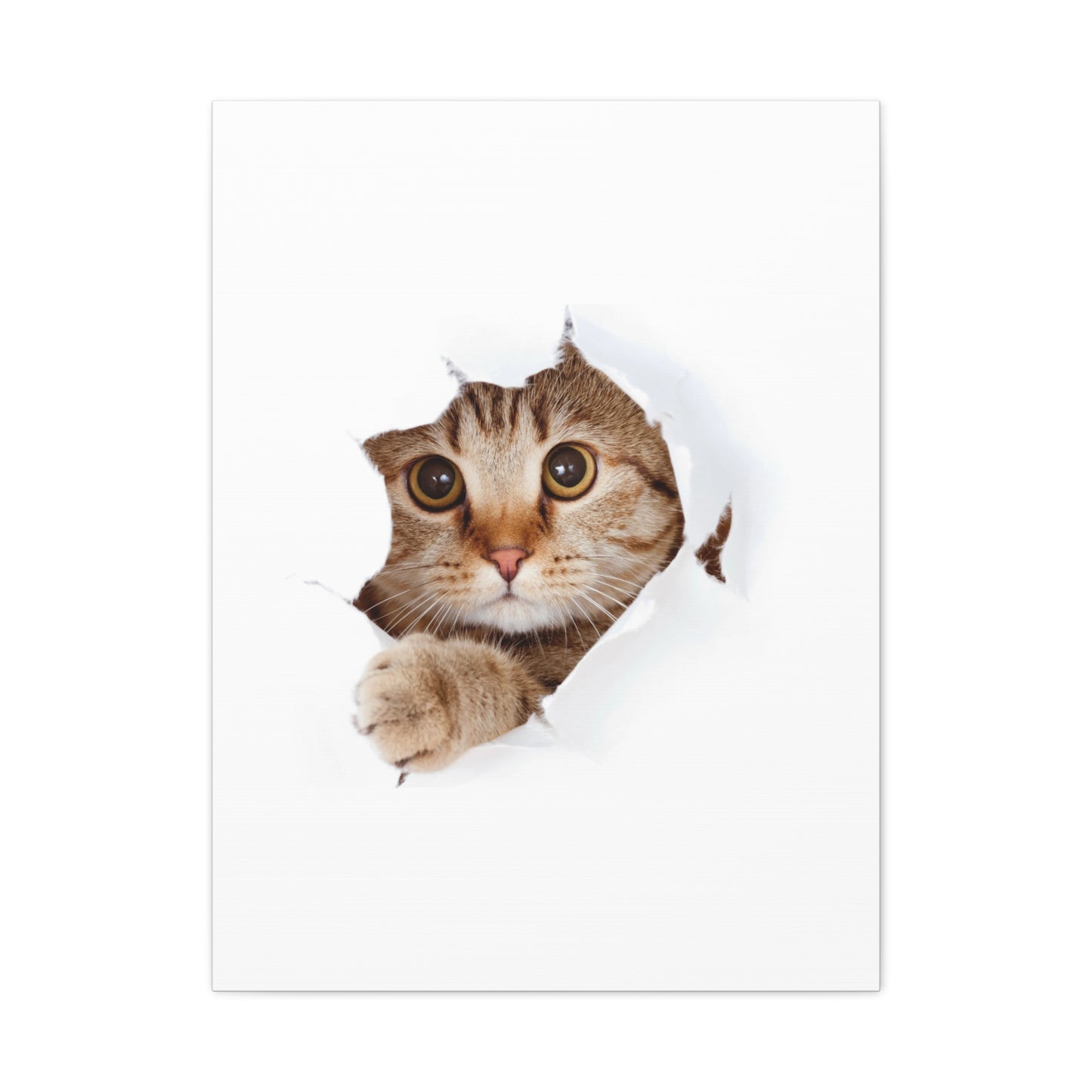 Whimsical Cat Canvas Art, Playful Decor for Cat Lovers, Home Wall Art, Pet-Themed Gift, Cute Cat Wall Art, Cat Lover's Decoration