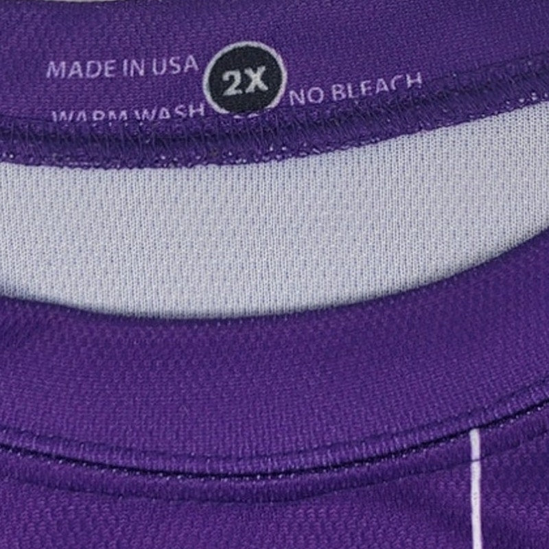 Burlington Spiders Mens 2X Purple Spiders & Web Long Sleeve Crew Neck Jersey