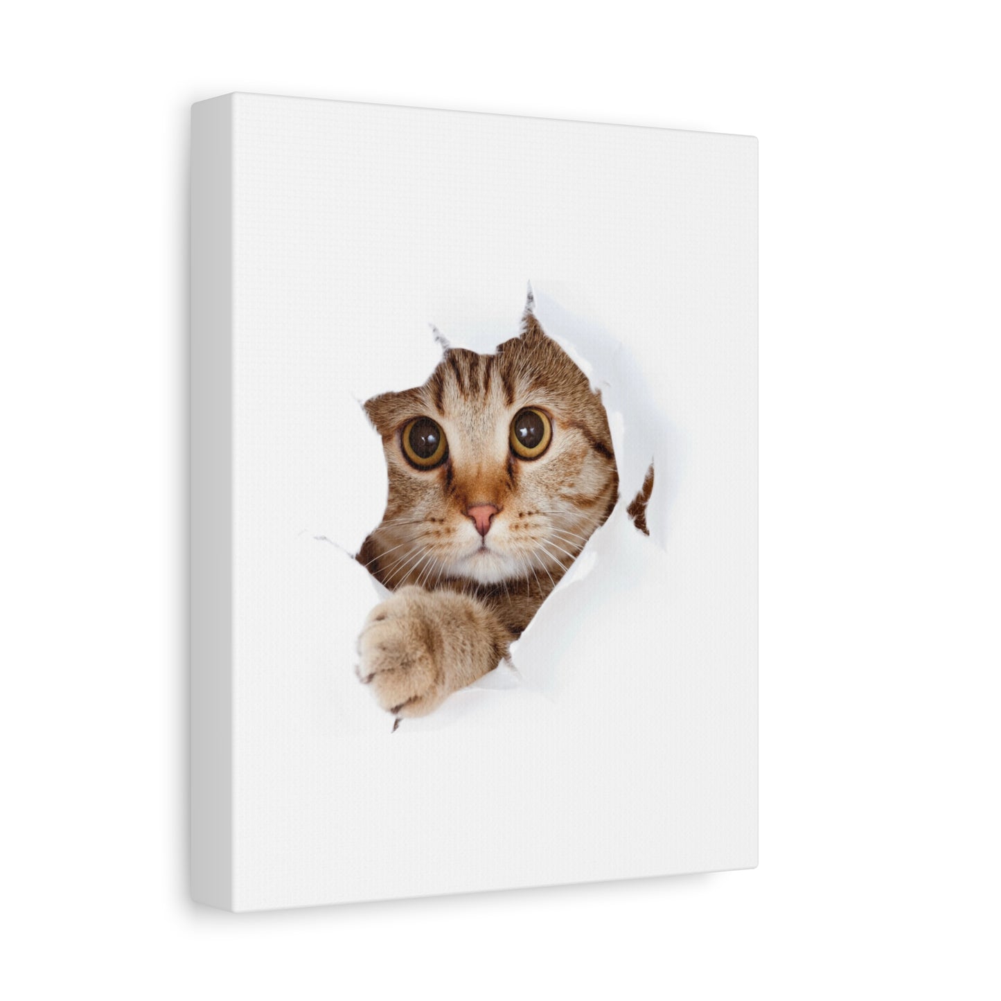 Whimsical Cat Canvas Art, Playful Decor for Cat Lovers, Home Wall Art, Pet-Themed Gift, Cute Cat Wall Art, Cat Lover's Decoration