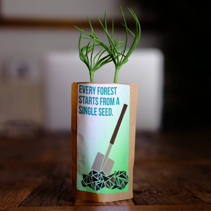Every Forest Starts From a Single Seed – Tree Kit - We Plant 20 Trees-0