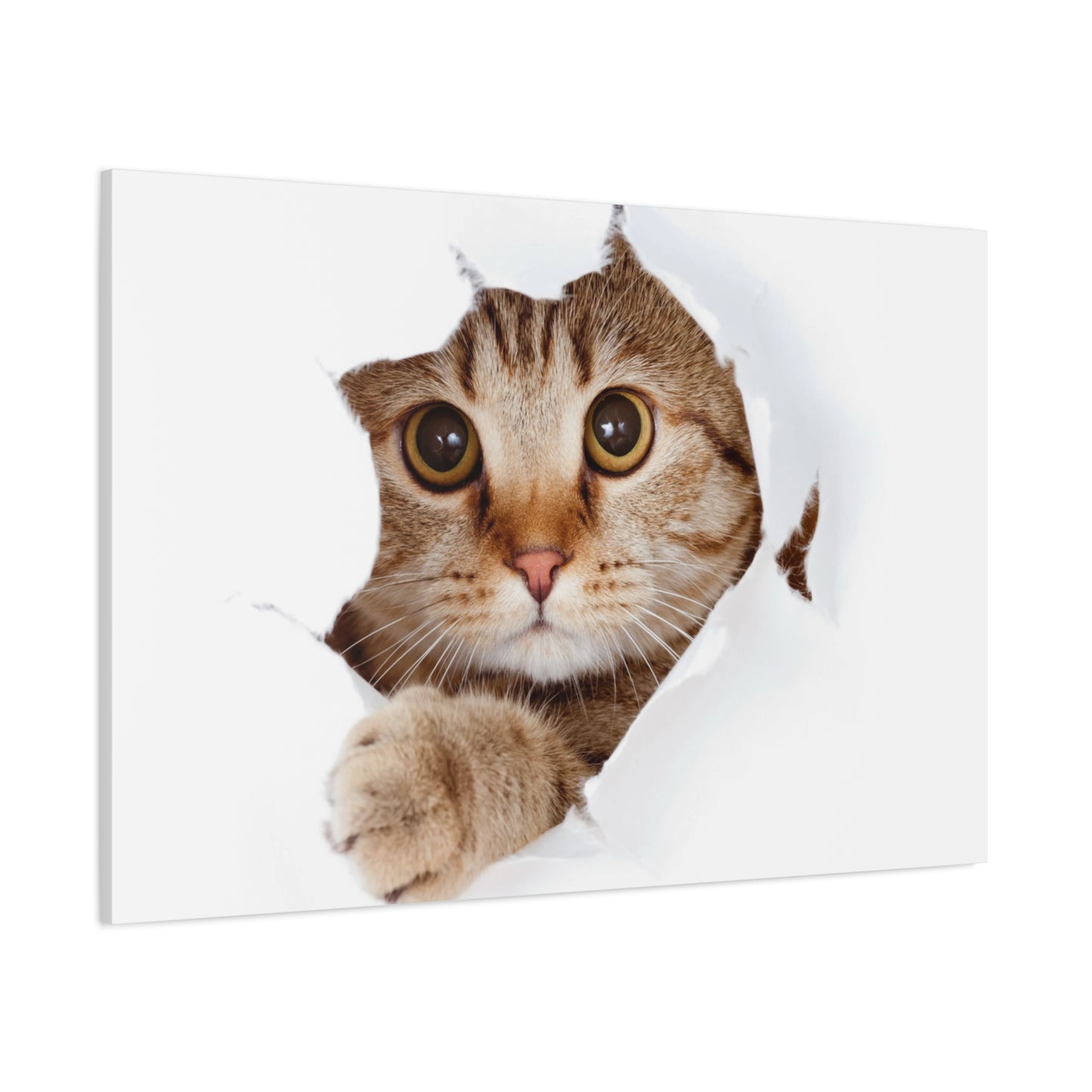Whimsical Cat Canvas Art, Playful Decor for Cat Lovers, Home Wall Art, Pet-Themed Gift, Cute Cat Wall Art, Cat Lover's Decoration
