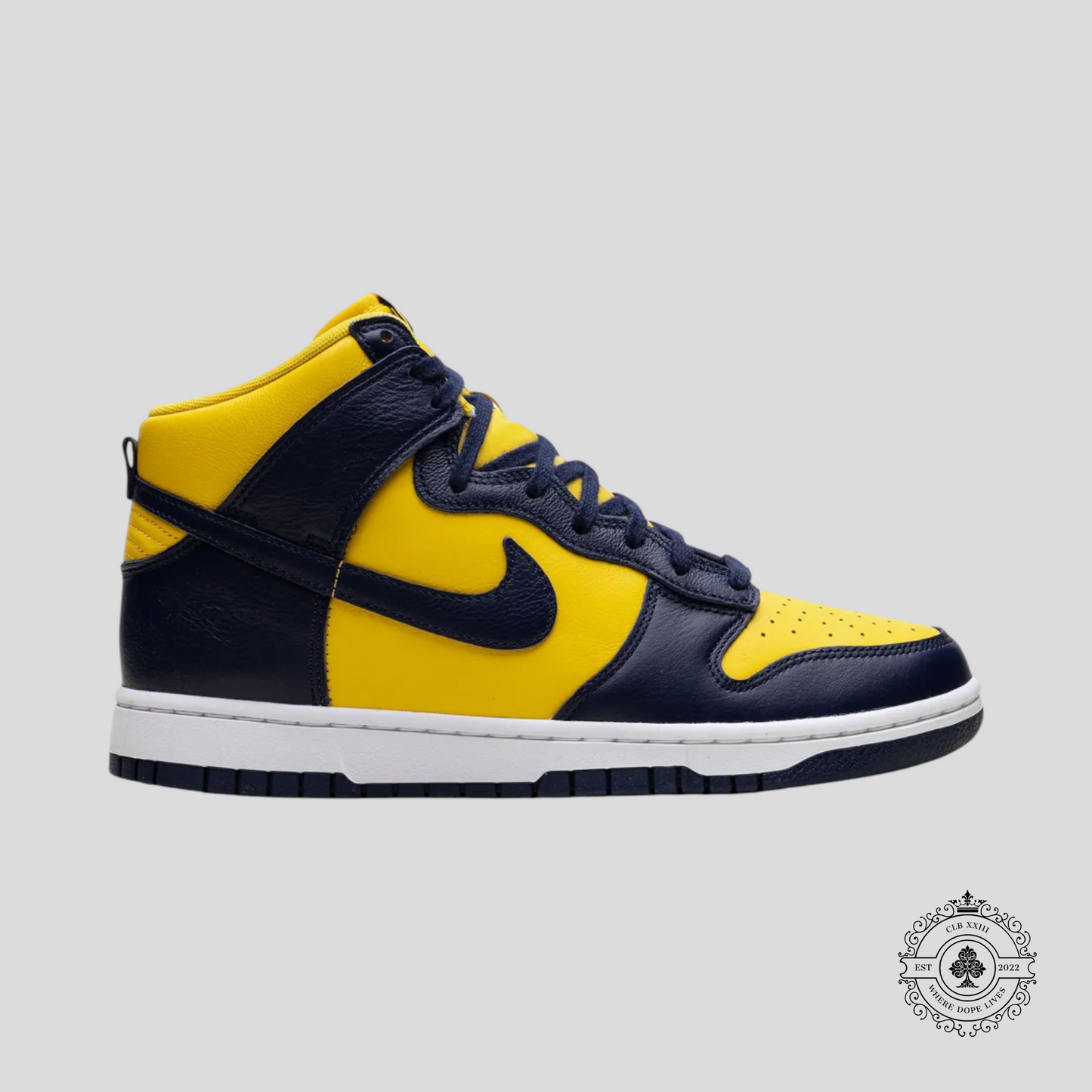 Nike Dunk High Michigan (2025)
