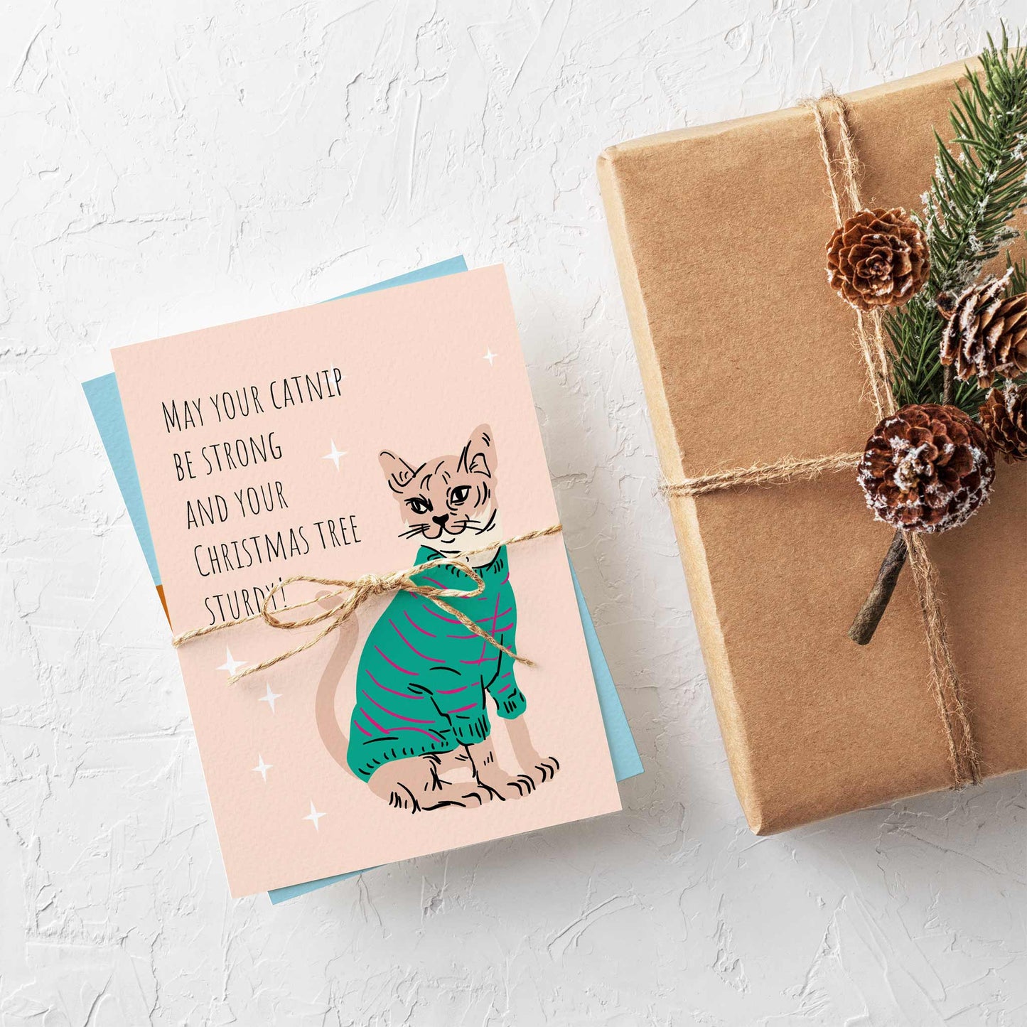 Cat Christmas Greeting Cards, Set of 24