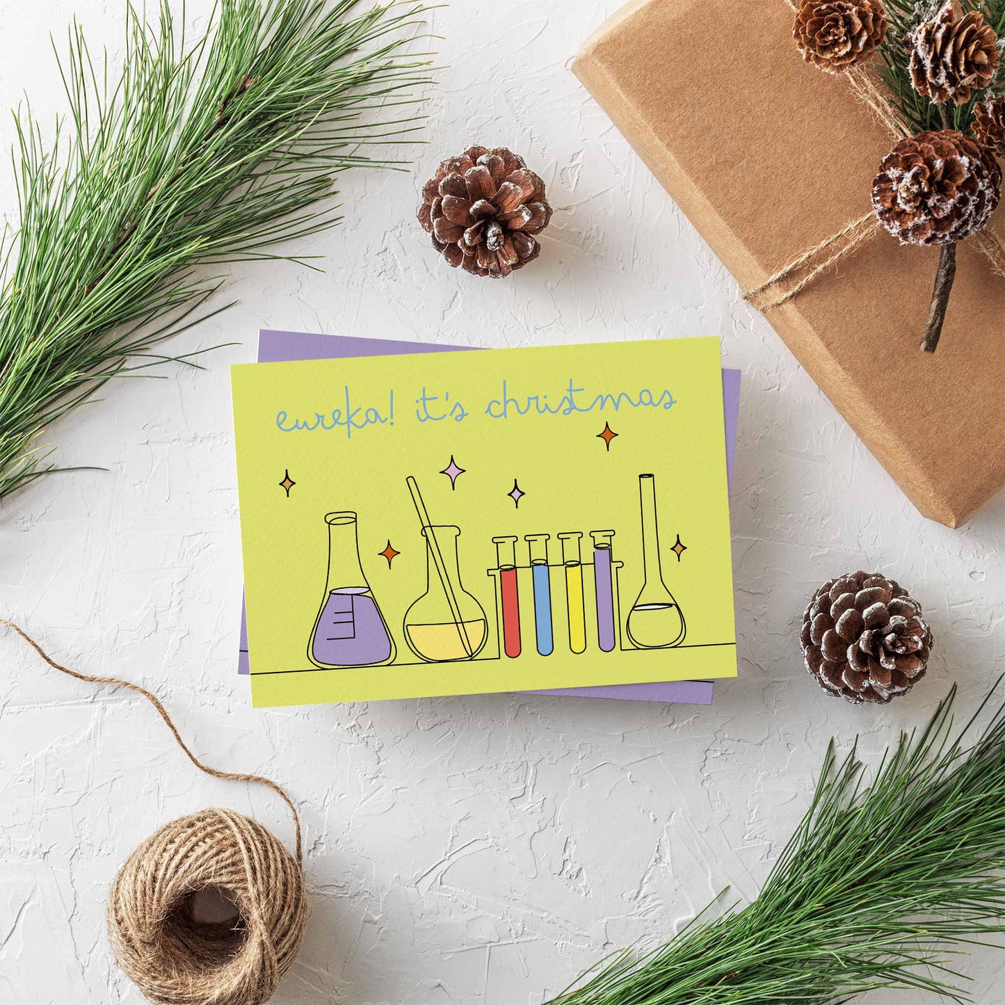 Scientist Christmas Greeting Cards, Set of 24