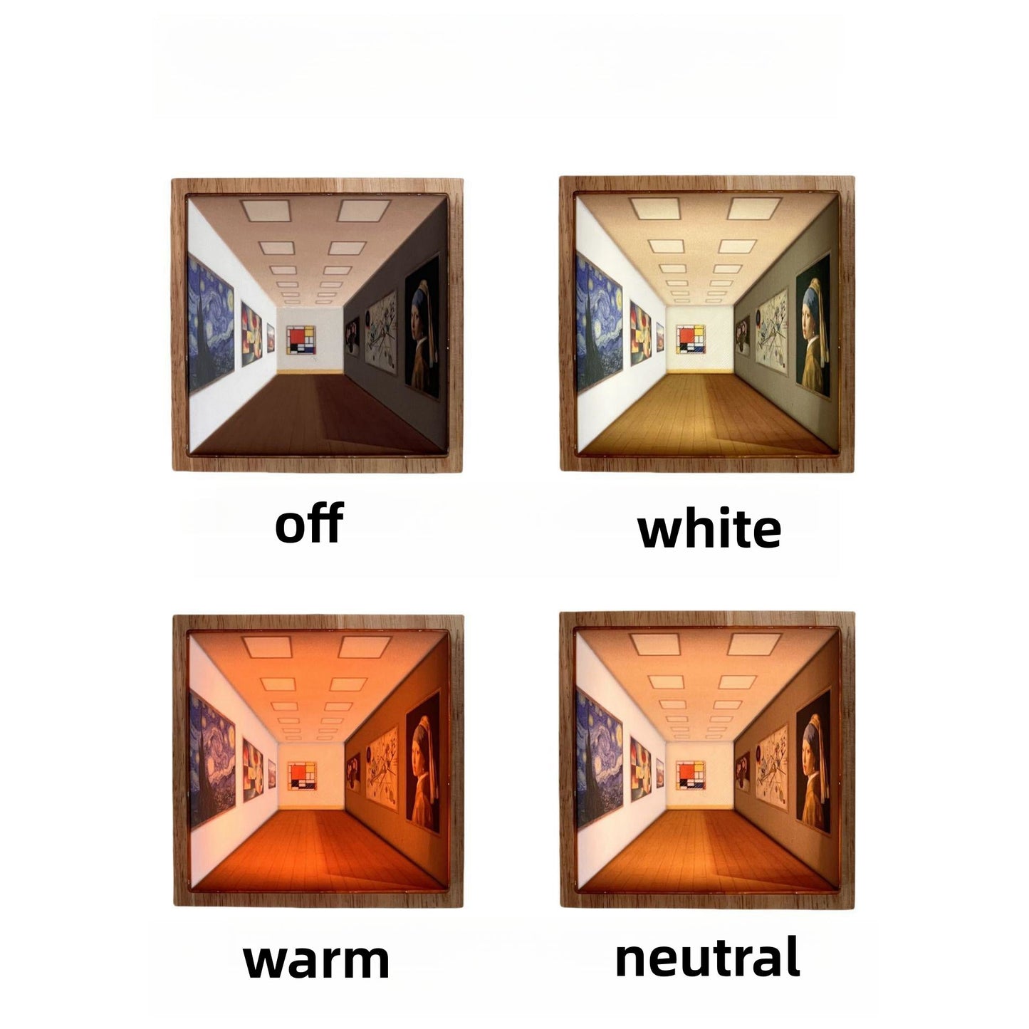 3D Visual Gallery Wall Lamp-4