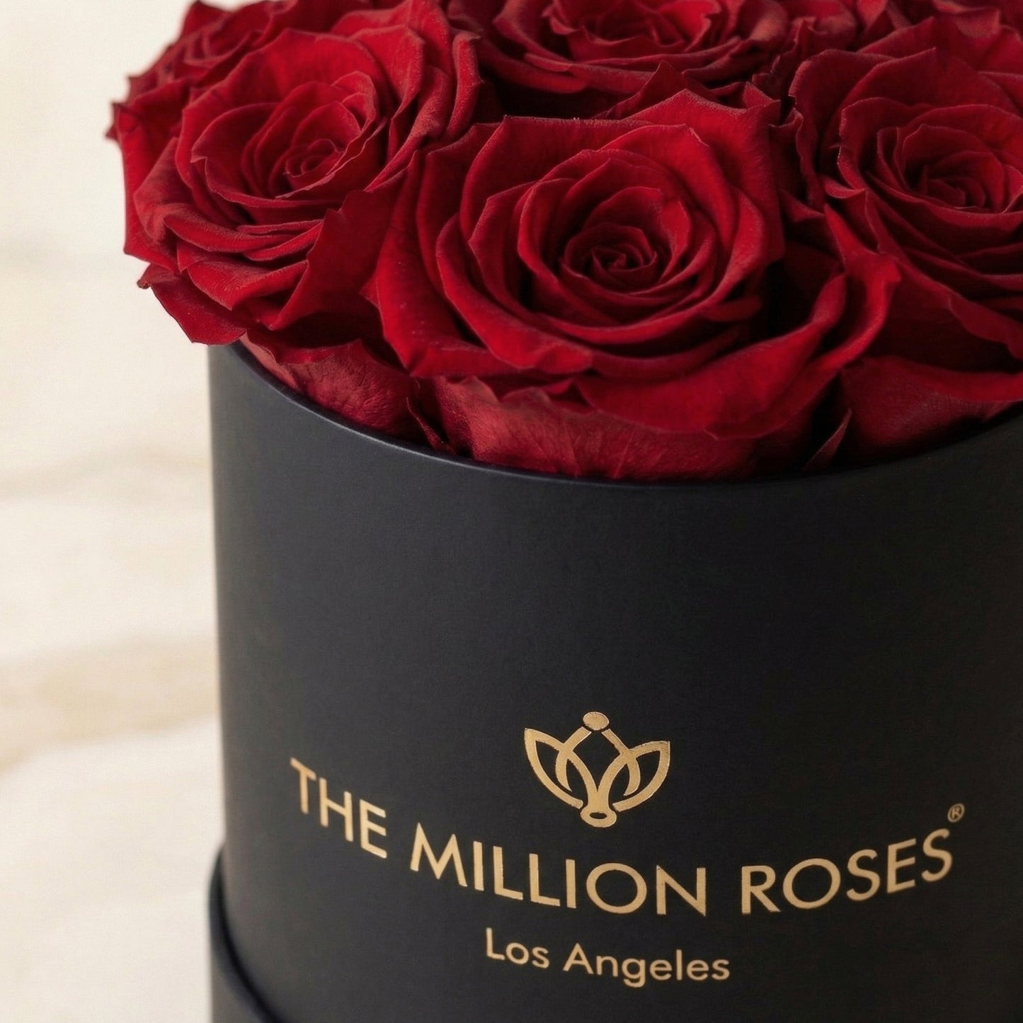 Basic Black Box | Red Roses