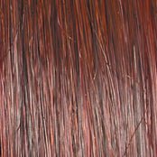 ON YOUR GAME - wig by Raquel Welch