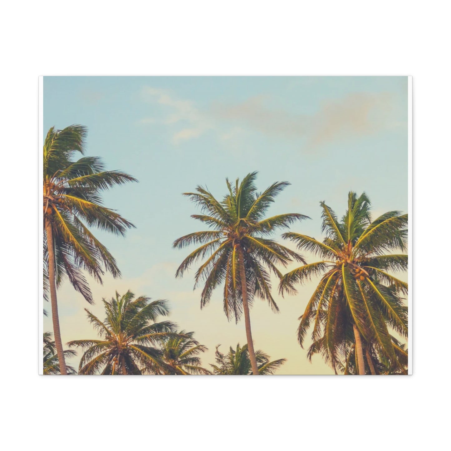 Tropical Palm Tree Canvas Print, City of Angeles Tropical Wall Art, Los Angeles Beach Decor, California Nature Photography, Home Decoration, Gift for Beach Lovers