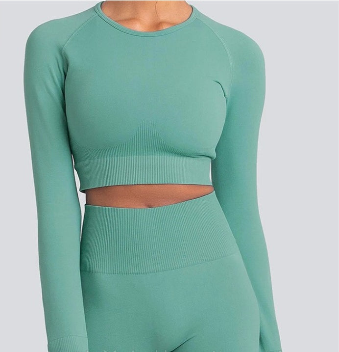 2-Piece Seamless High Elastic Yoga Suit