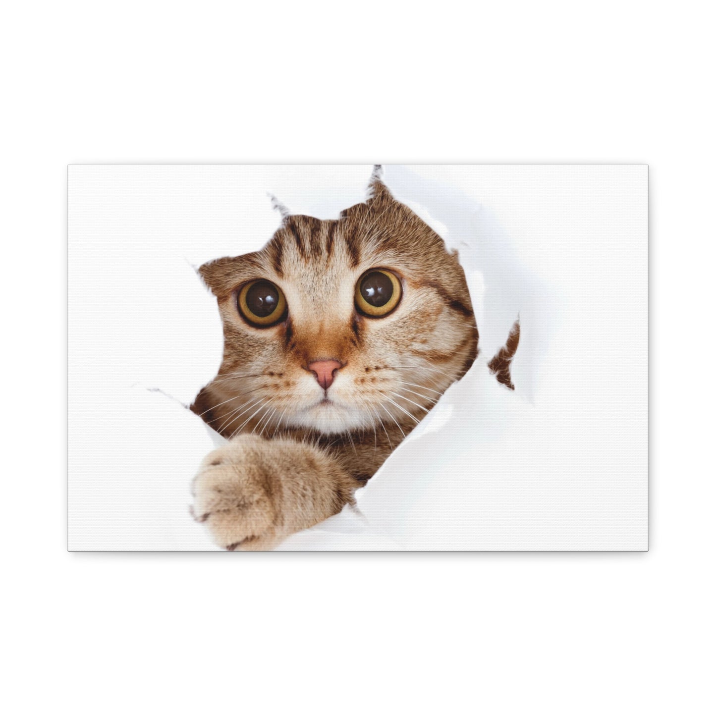 Whimsical Cat Canvas Art, Playful Decor for Cat Lovers, Home Wall Art, Pet-Themed Gift, Cute Cat Wall Art, Cat Lover's Decoration