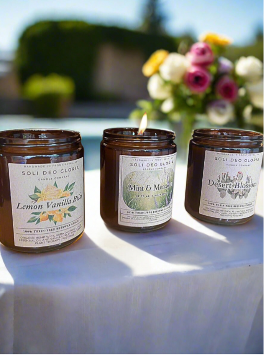 Fresh Favorites Bundle | 3 Pack | Tea-time, Fresh, Citrus, Sweet