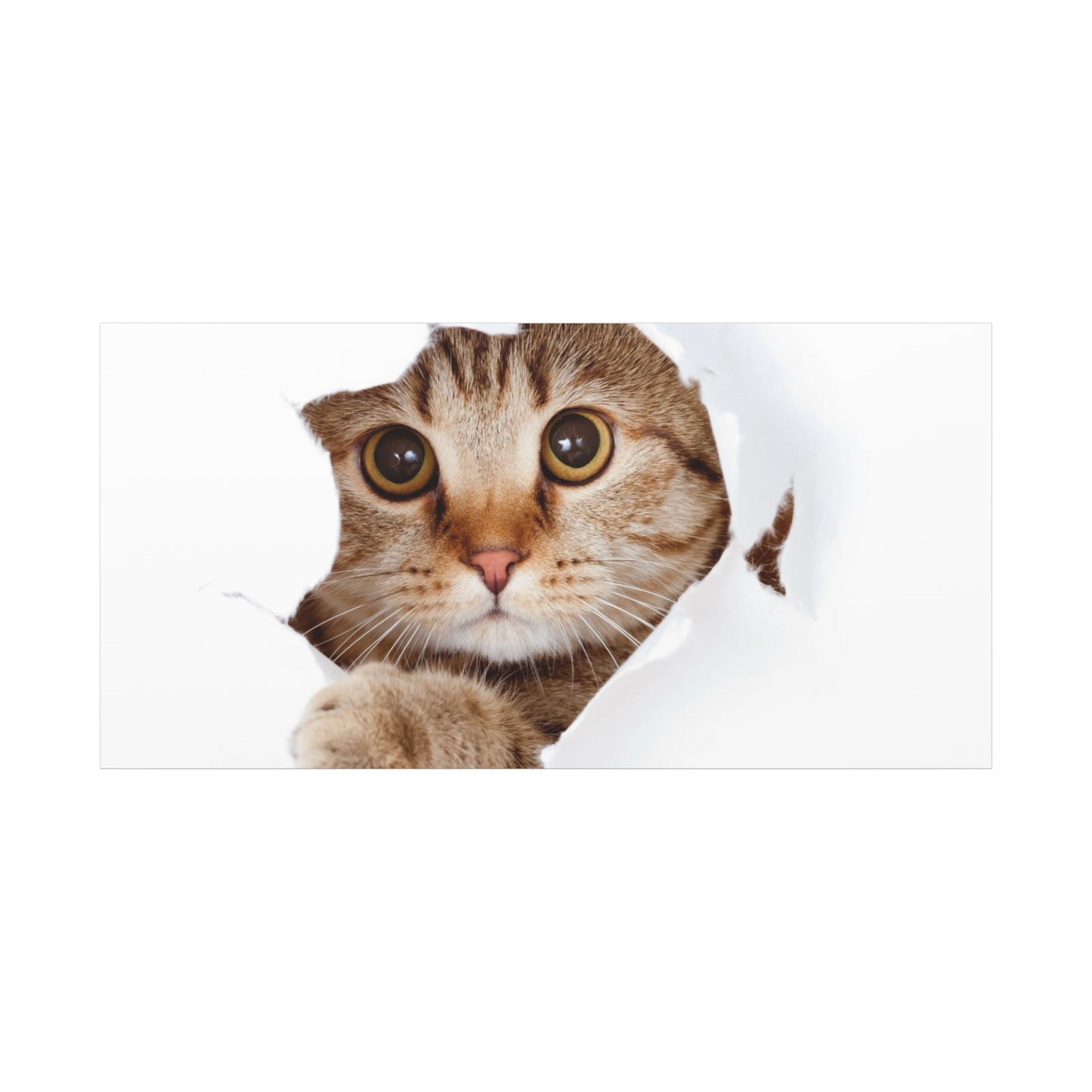Whimsical Cat Canvas Art, Playful Decor for Cat Lovers, Home Wall Art, Pet-Themed Gift, Cute Cat Wall Art, Cat Lover's Decoration