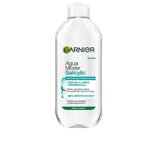 Facial Cleansing Gel Garnier SKINACTIVE 400 ml-0