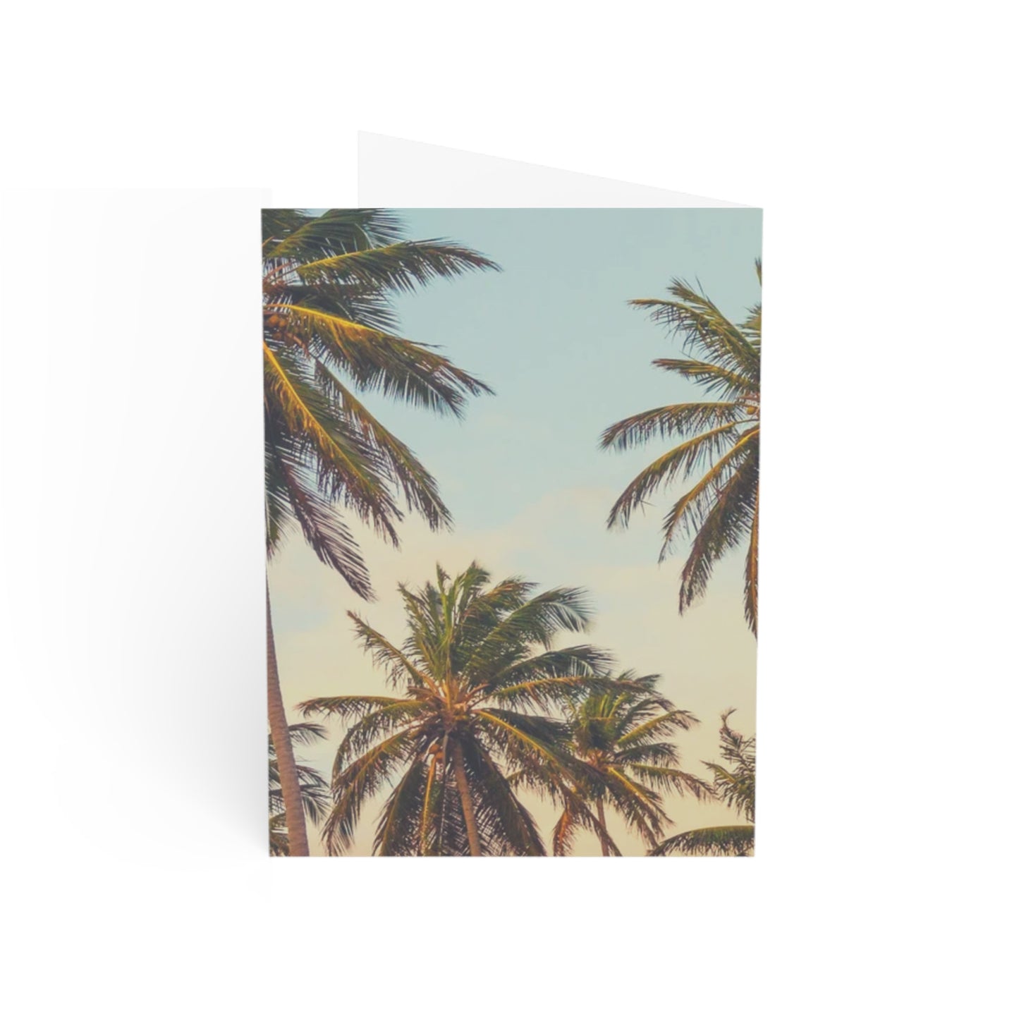 CITY OF ANGELS - Tropical Palm Greeting Cards - Perfect for Summer Celebrations, Birthdays, Thank You Notes, or Just Because!