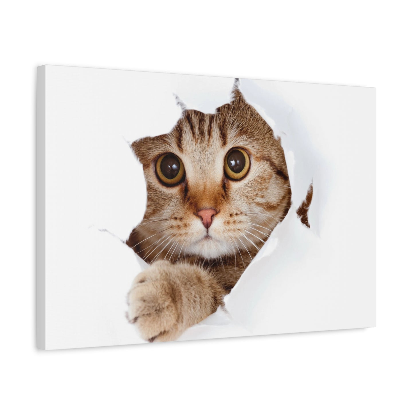 Whimsical Cat Canvas Art, Playful Decor for Cat Lovers, Home Wall Art, Pet-Themed Gift, Cute Cat Wall Art, Cat Lover's Decoration