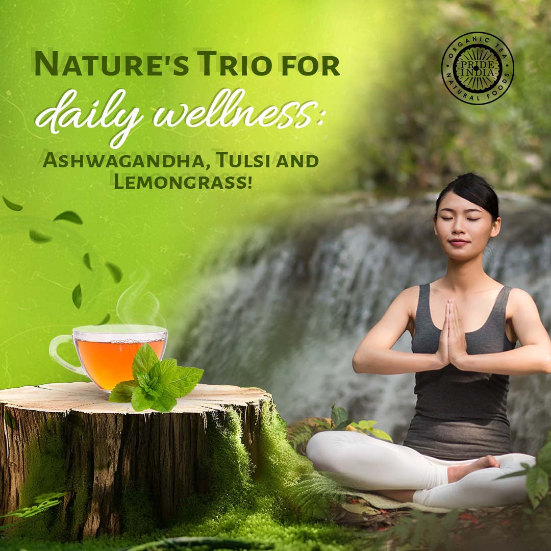 Herbal Wellness Pack-4