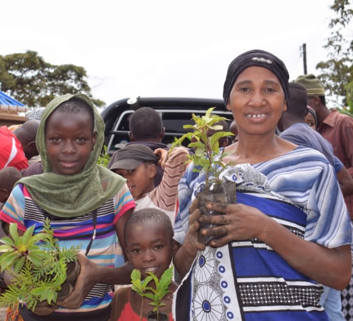 Pack of 500 Tree Kit Cups, We Plant 5000 More Trees-3