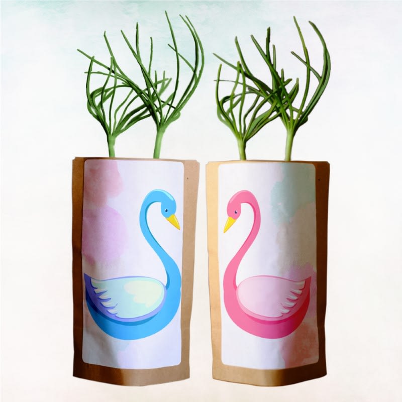 Nurture Our Roots with 100 Trees – “Swan Love"-0