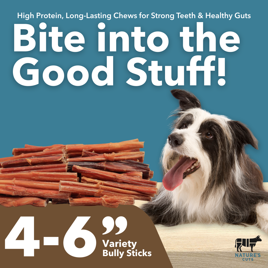 4-6" Variety Bully Sticks-1