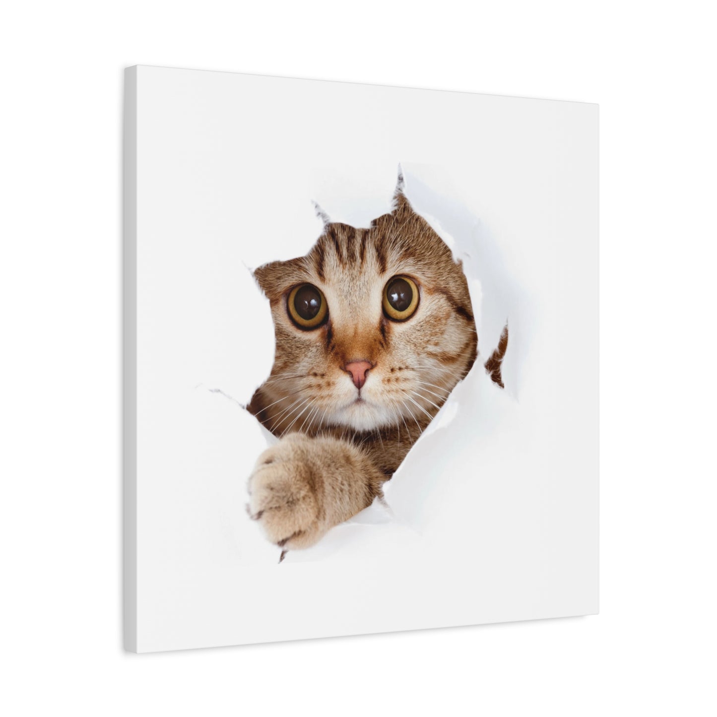 Whimsical Cat Canvas Art, Playful Decor for Cat Lovers, Home Wall Art, Pet-Themed Gift, Cute Cat Wall Art, Cat Lover's Decoration