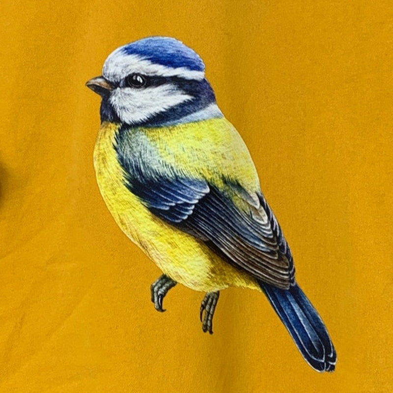 Upcycled Hand Printed Womens XL Yellow Blue Wild Bird Long Sleeve Sweatshirt