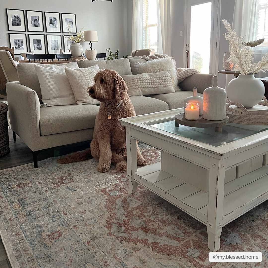 Emke Flat Pile Washable Rug-0