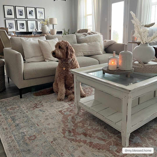 Emke Flat Pile Washable Rug-0