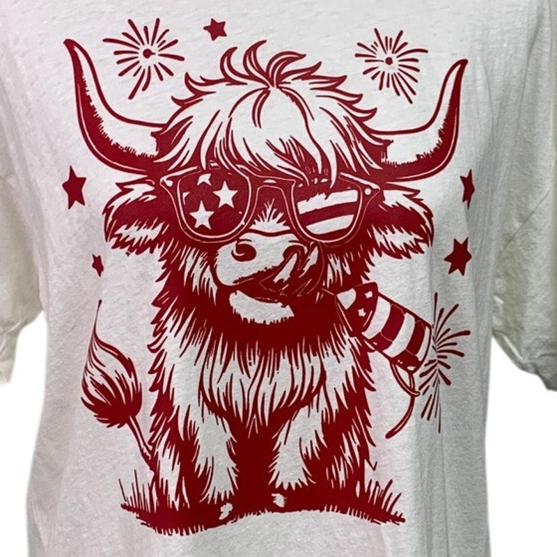 New Upcycled Hand Printed Womens Medium Sunglasses Highland Cow Fireworks Tee