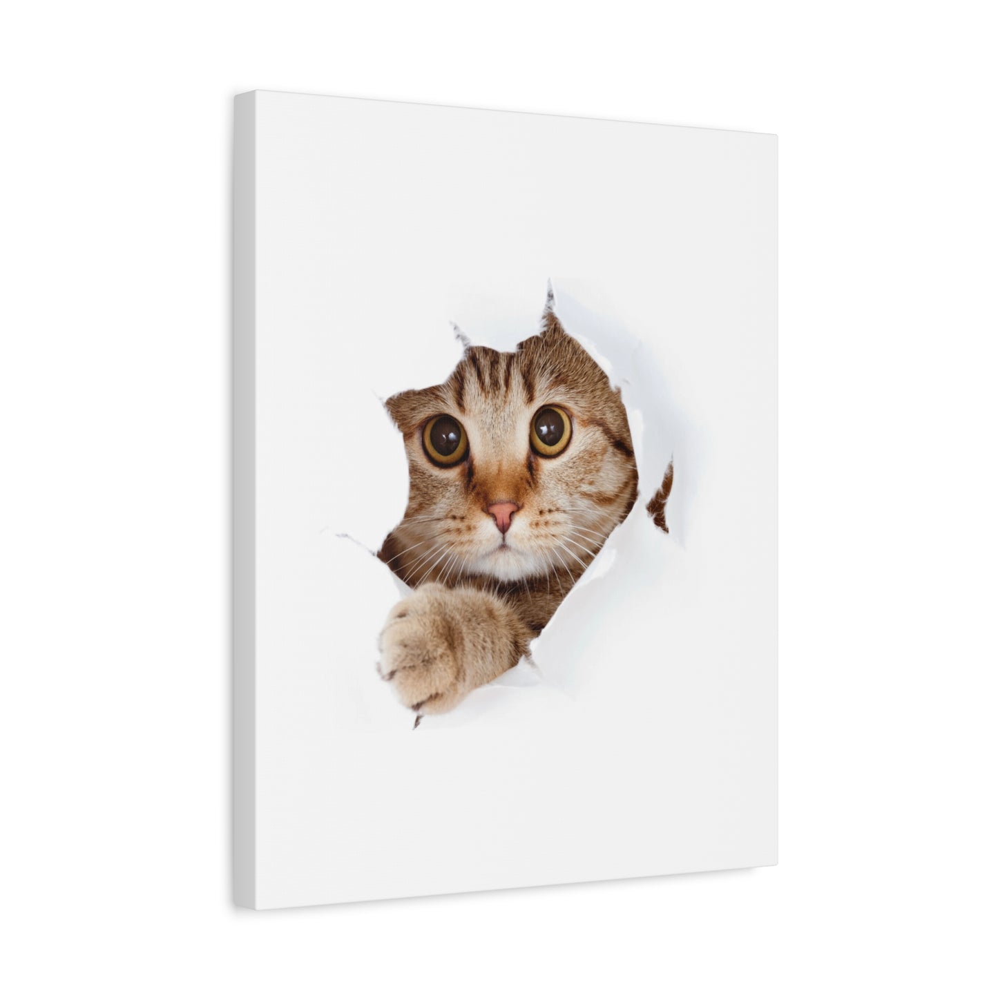 Whimsical Cat Canvas Art, Playful Decor for Cat Lovers, Home Wall Art, Pet-Themed Gift, Cute Cat Wall Art, Cat Lover's Decoration