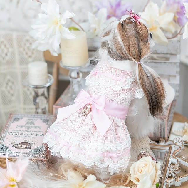 Luxury design dog dress vintage lace