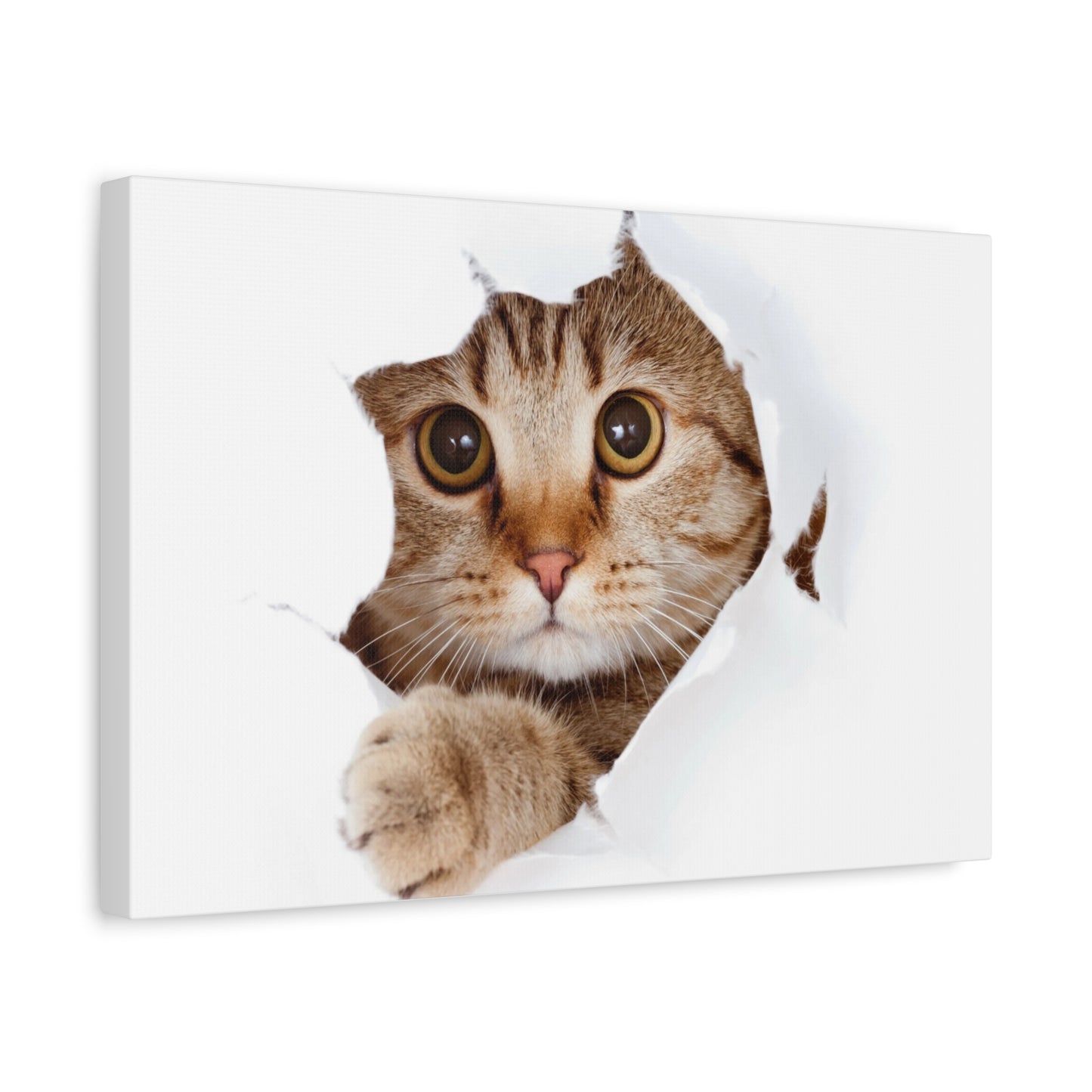 Whimsical Cat Canvas Art, Playful Decor for Cat Lovers, Home Wall Art, Pet-Themed Gift, Cute Cat Wall Art, Cat Lover's Decoration