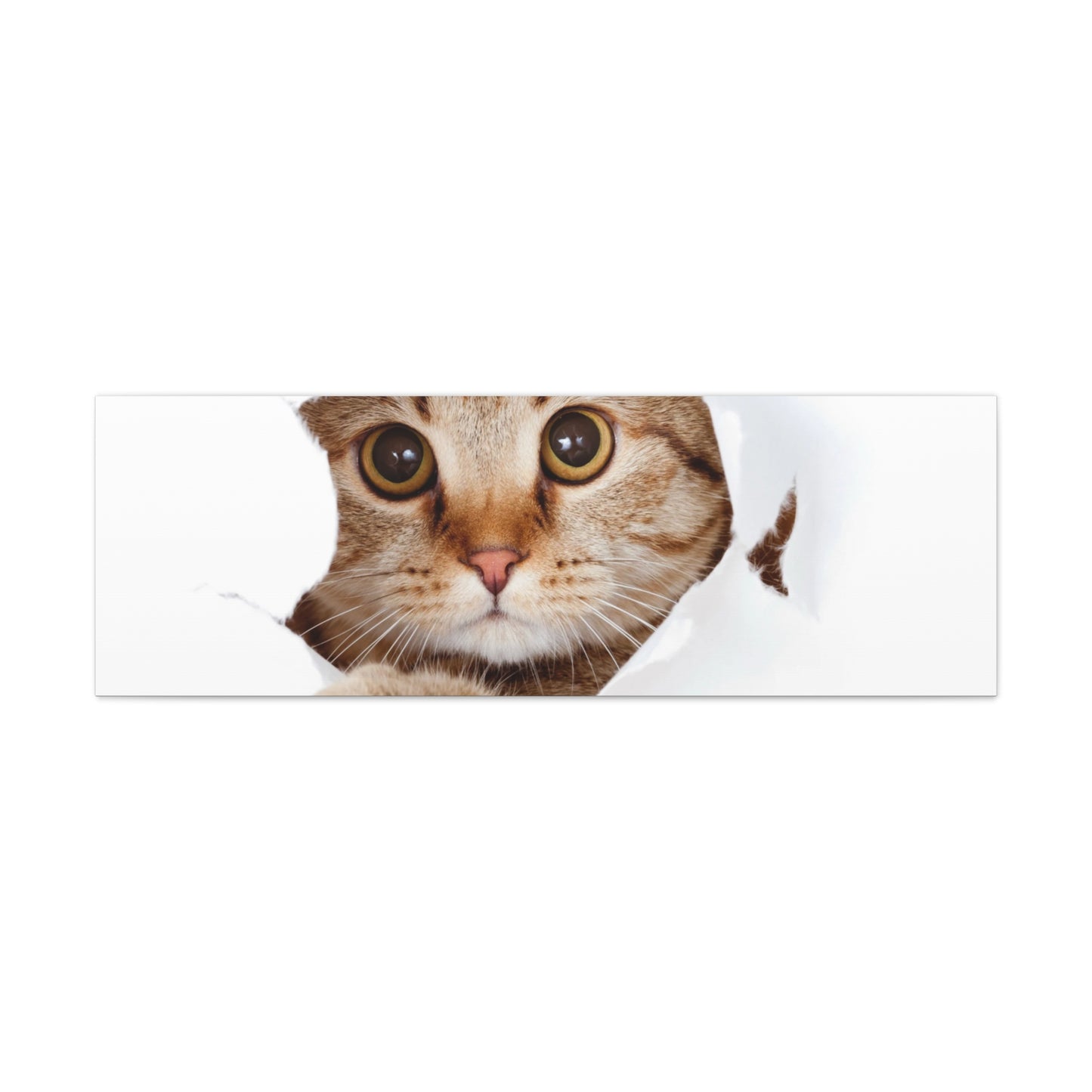 Whimsical Cat Canvas Art, Playful Decor for Cat Lovers, Home Wall Art, Pet-Themed Gift, Cute Cat Wall Art, Cat Lover's Decoration