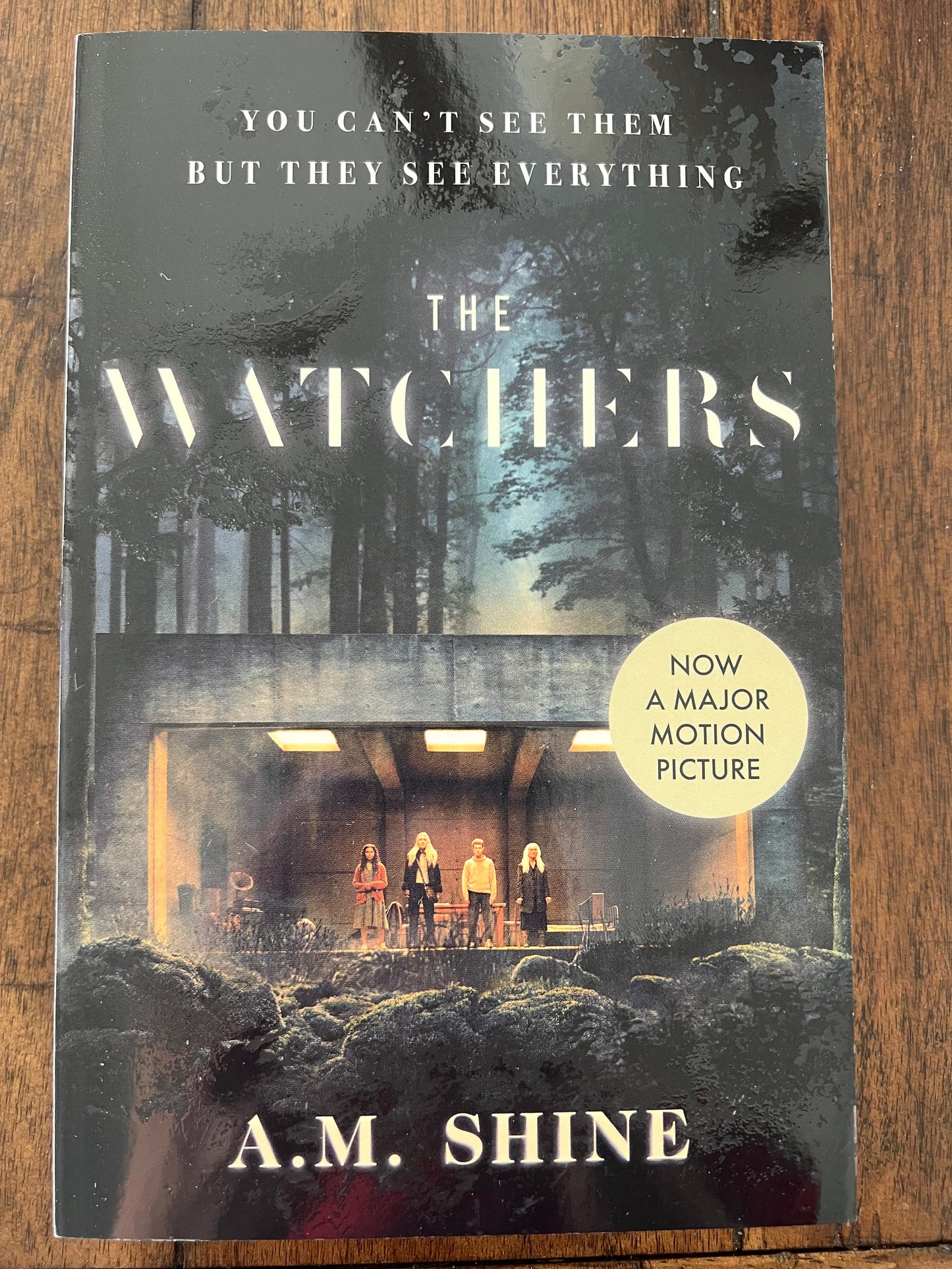 The Watchers