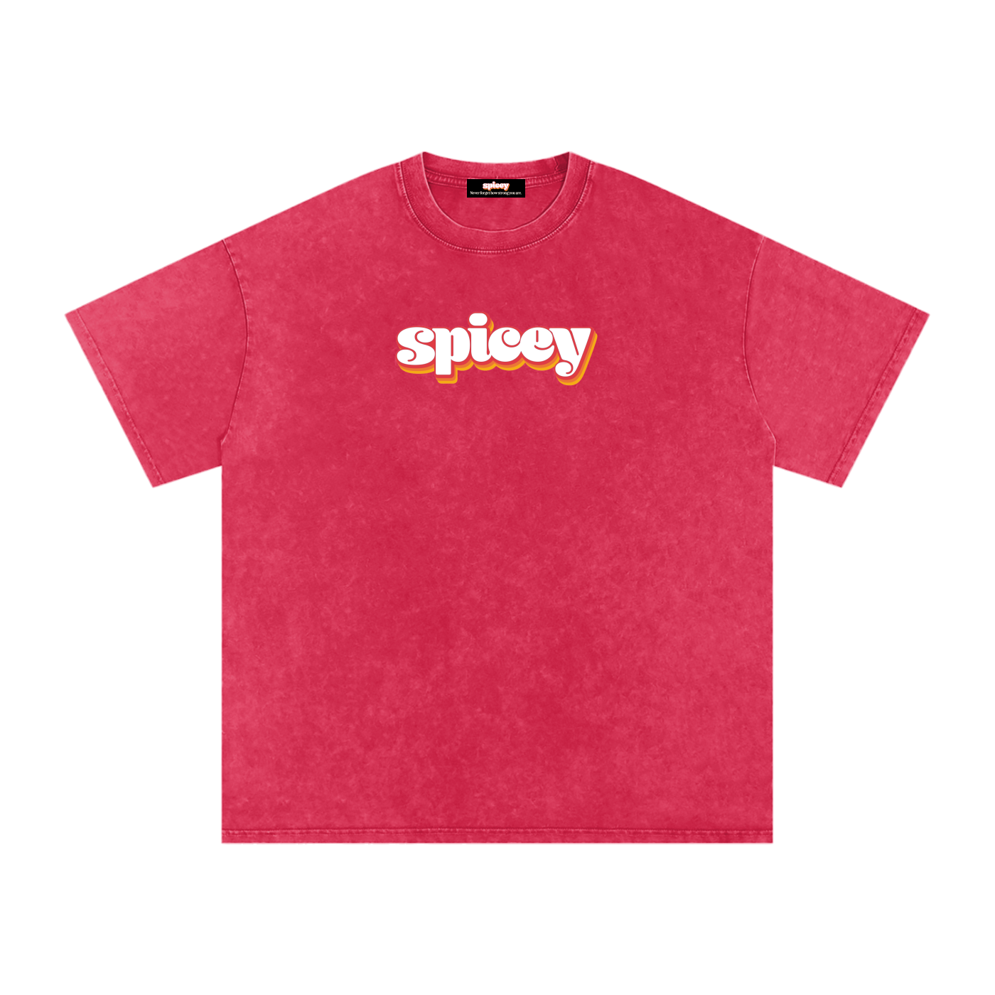 Spicey Vintage Logo Oversized T-Shirt-7