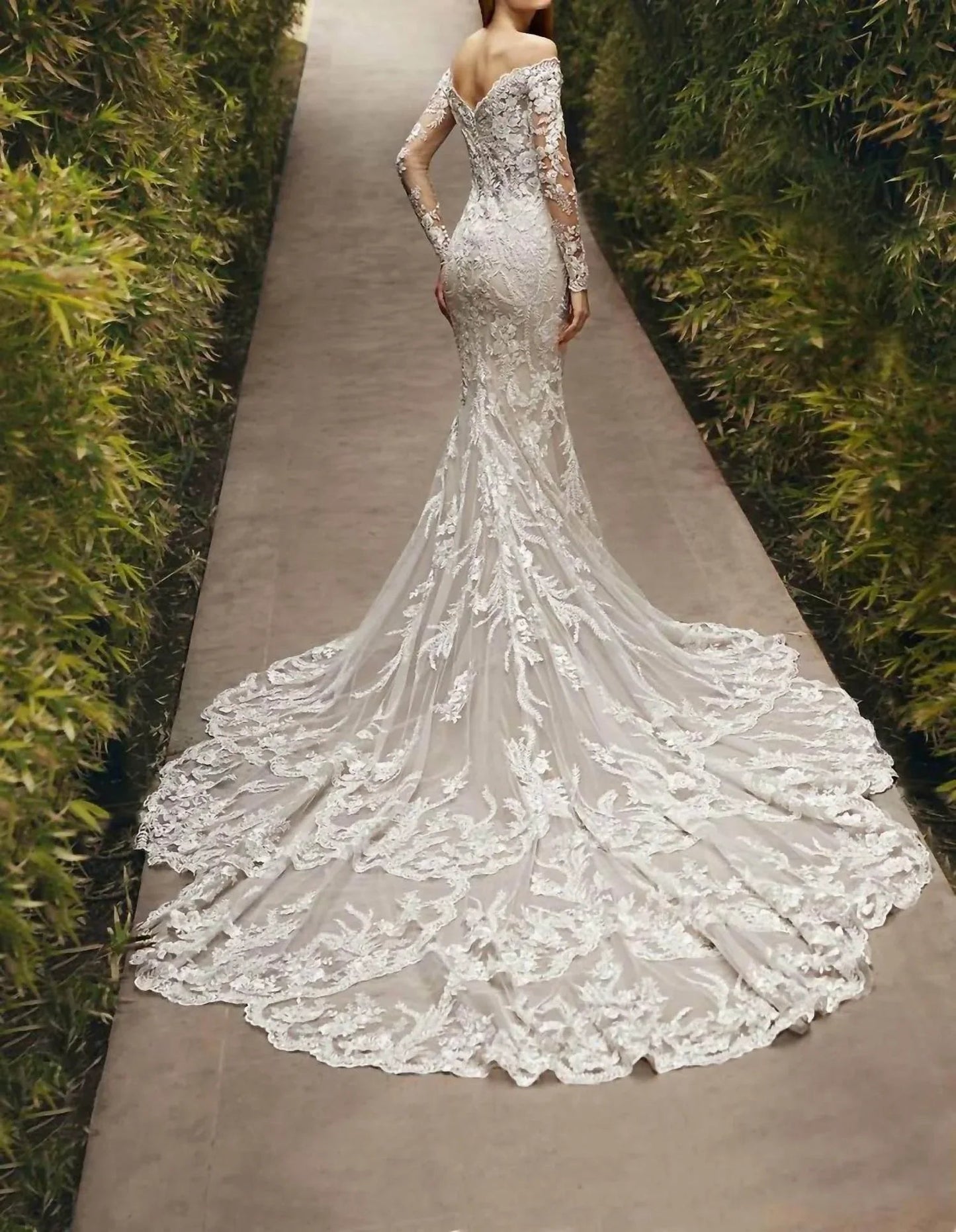 Lace Embellished Sheer Gown