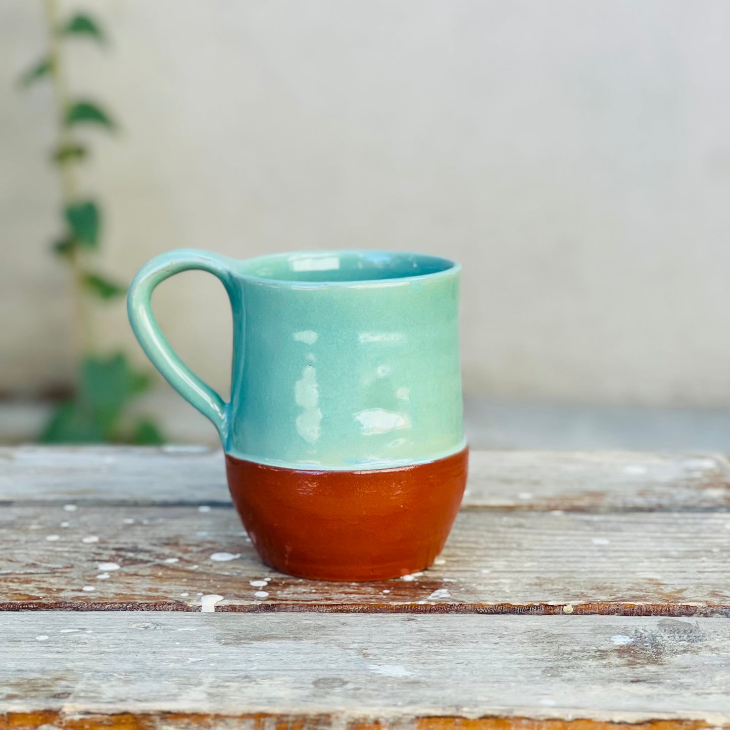 Terra Mug- Sage Green
